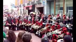 Simsegraebsler in Dublin