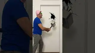 Giant Spider in my house! 