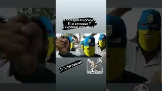 Трагедия Крокус Кто виноват? Украина или игил? телеграмм