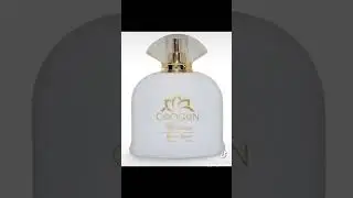 the best perfumes #reels #shorts #chogan