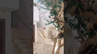 How to Pose in Your Instagram Photos! Photo Tips!
