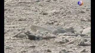 Лед тронулся!
