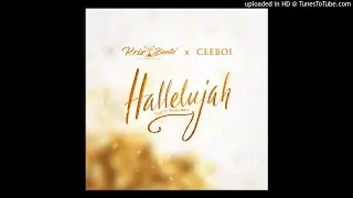 Krizbeatz & CeeBoi - Hallelujah
