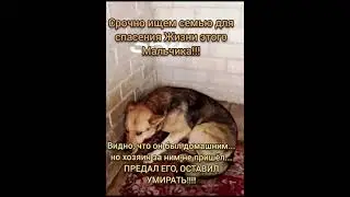 спокойного мальчика предали
