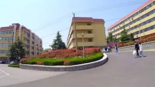 Столовая в китайском универе