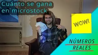 ¿Cuánto se gana con la fotografía de microstock? 🤔 - Ganancias después de dos años 🤑