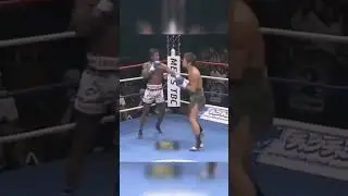 IRON LEG 