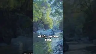 The Paradox of Control - Inspired by Alan Watts