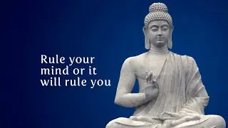 Buddha Quotes - Will it work in 2020?