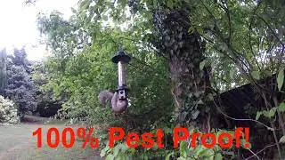 Roamwild PestOff Bird Feeder