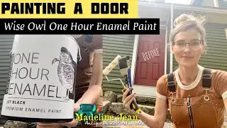 Painting A Door | Using Wise Owl One Hour Enamel Paint