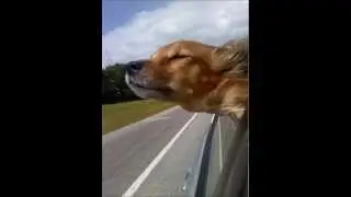 Secret Photos - Catch the Breeze