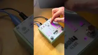 Poly Effects // Poly Verbs Crash Course!