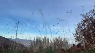 When the Wind Blows