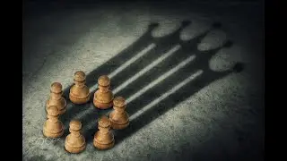 Образовательный курс 