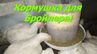 Broiler feeder. How to preserve feed