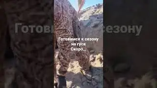 Скоро сезон # 