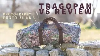 Tragopan V6 Review | Photography Blind | Wildlife Photography