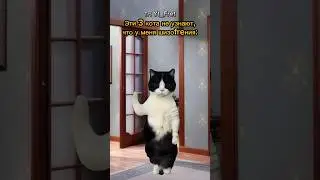 Вы же их видите?🤣 