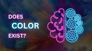 The Illusion of Color:  Does Color Really Exist?