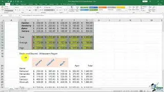 How to Use Format Painter in Excel - Step by Step