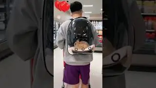 КРОЛИК В РЮКЗАКЕ ❤️