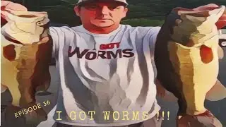 Maryland Bass Fishing episode 36