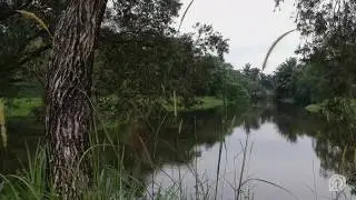 After The Rain | DJI Spark