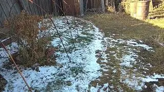 Облёт пчел в ноябре