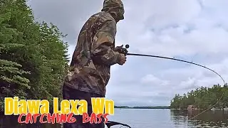 Daiwa Lexa Wn Review