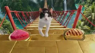 Explore the World of Friskies Dry Cat Food: Always More to Explore