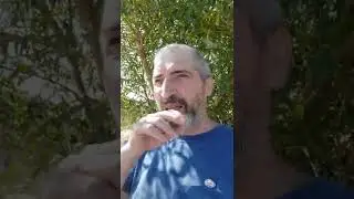 О летающих звездах