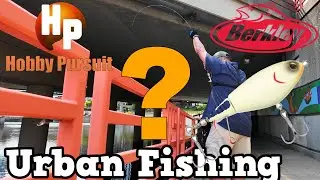 Unbelievable Catch!  - Urban Fishing!