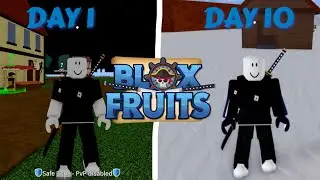 WHAT HAPPENS WHEN A BLOX FRUITS PRO RESTARTS HIS ACOUNT? (PT1) With @JellyNews