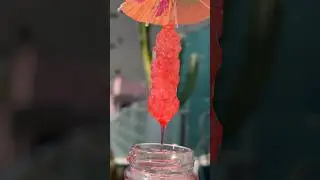 Frozen Jungle Bird w/ Campari Rock Candy🍹