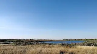 Пруд хутора  Черкесовский Окрестности, Новоаннинский Казенный пруд Деревенский пруд