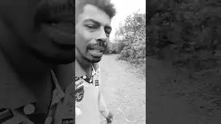 Ensaio de Voz na Floresta / Episódio : 2