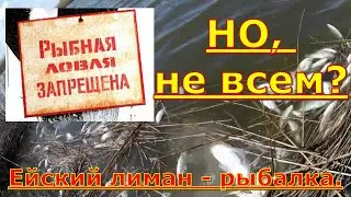 Ейск - нерест 2021. Рыбная ловля запрещена, НО НЕ ВСЕМ. Ейский лиман.