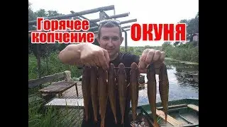 Как приготовить горячего копчение Окуня в домашних условиях