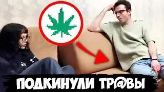 Бебрина, Мафаня, Брамо, Лëня Пудж ИРЛ пранк / Шкуроход в ловушке