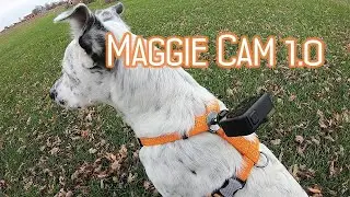 Maggie Cam? Will it work?