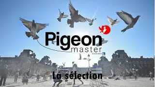Pigeon Master: The Selection (English subtitles)