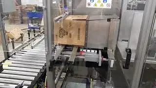 case carton filling machine