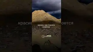 Доброе сердце 