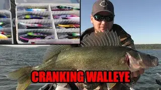 Every Crank Bait in the BOX! | Fall Fishing