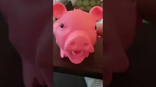 He’s the Pig Daddy 🐽 