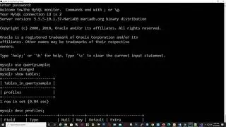 CSharp and MySQL (MariaDB) - Connecting and Inserting Record in the Database