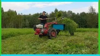 Строим коровник, копаем картофель, индюки и снова на покосах! Деревенские будни.