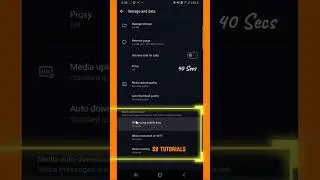 How to stop auto download on WhatsApp