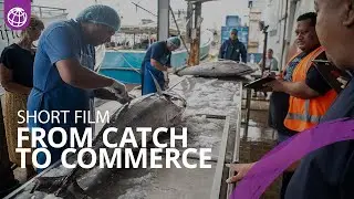 From Catch to Commerce: Growing the Economy in Tonga Through Trade Facilitation